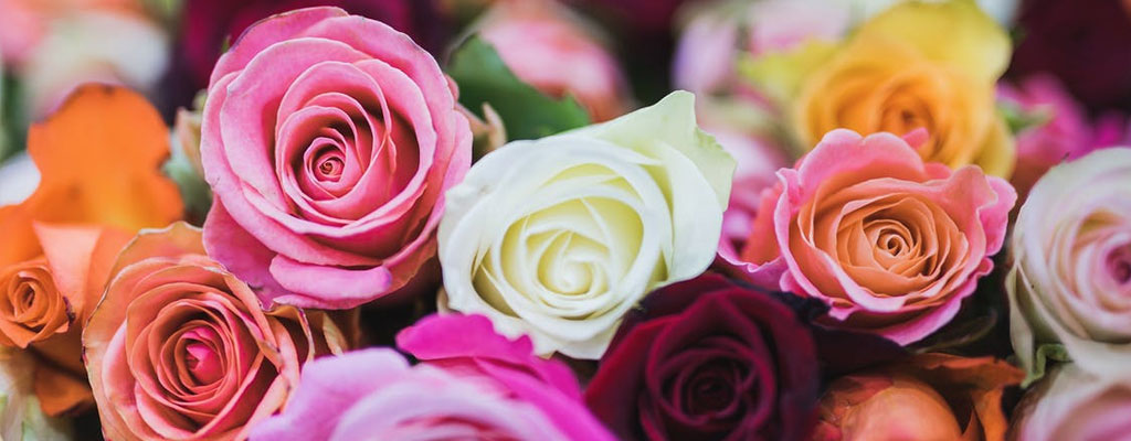 Thelma's Flowers